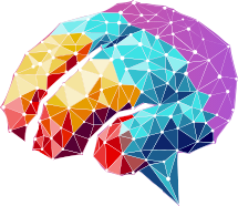 Digital Fusions Brain